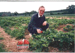 Jim in the strawberry field